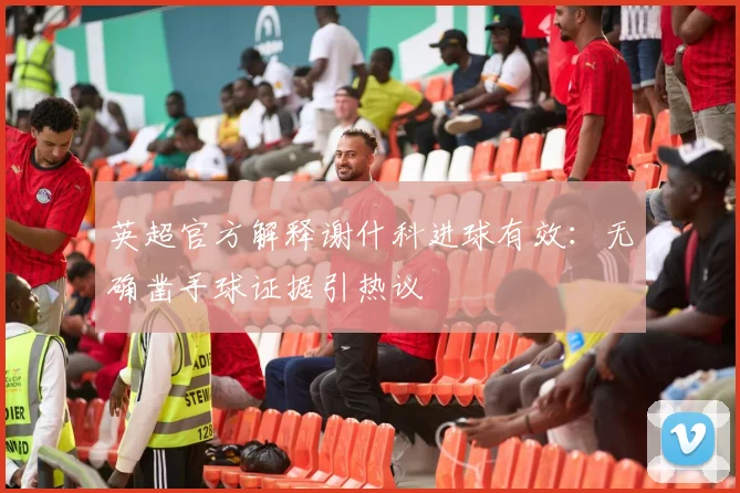 英超官方解释谢什科进球有效:无确凿手球证据引热议
