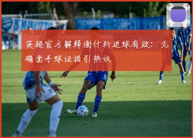 英超官方解释谢什科进球有效：无确凿手球证据引热议